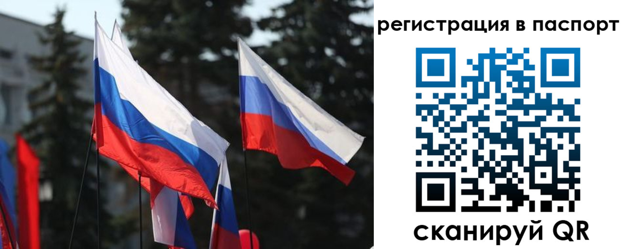 прописка штамп в Петровске